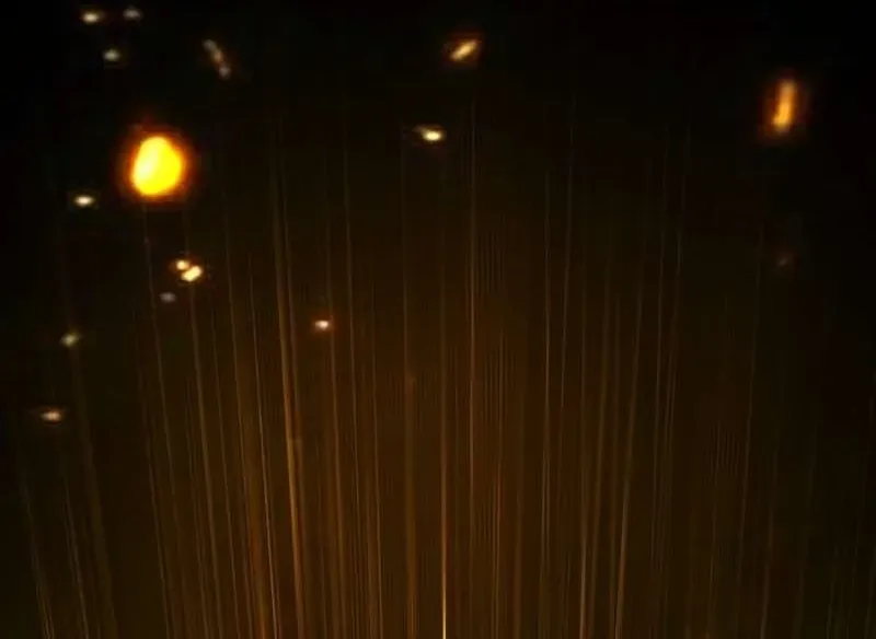 Manhwa Jungle Juice Chapter 131 page 4 - 