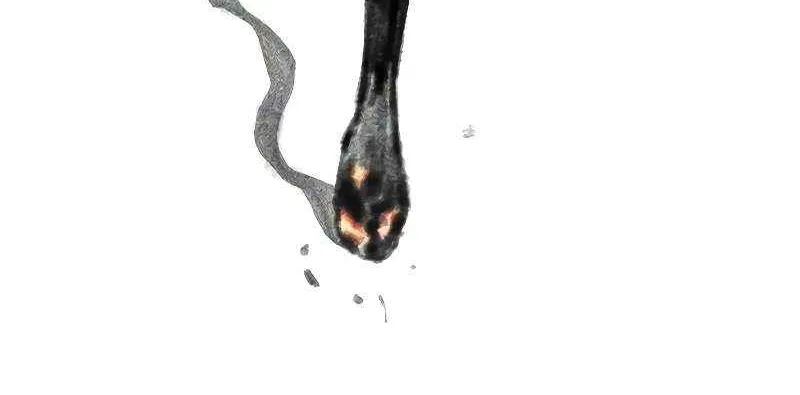 Manhwa Jungle Juice Chapter 154 page 30 - 