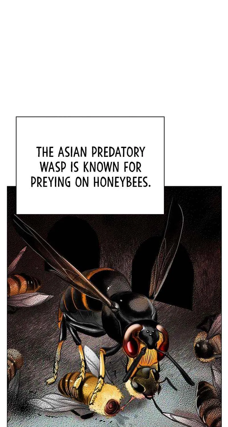 Manhwa Jungle Juice Chapter 95 page 33 - 