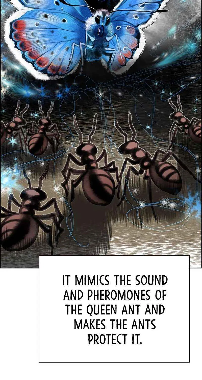 Manhwa Jungle Juice Chapter 95 page 62 - 