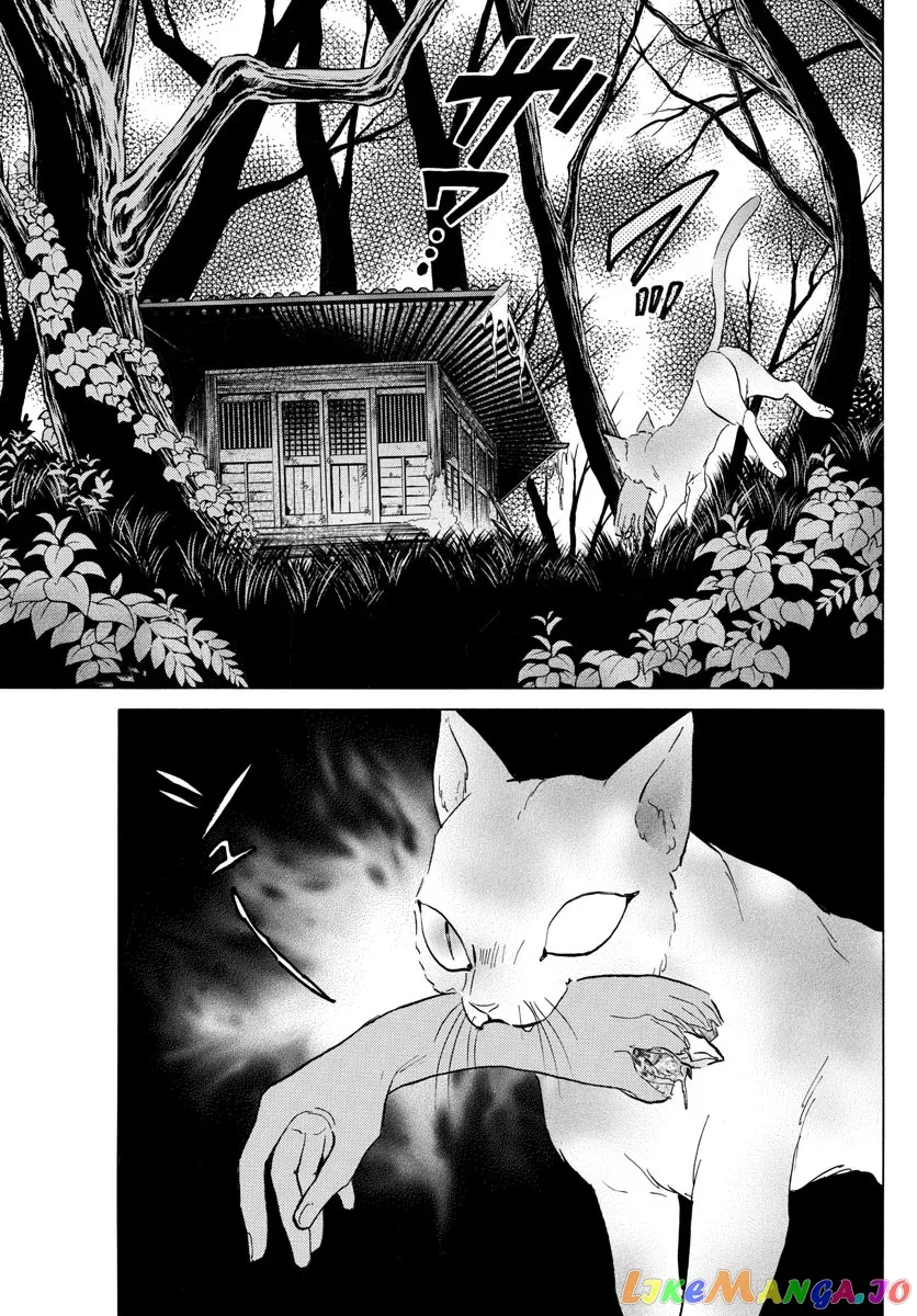 Read Mao  Manga chapter 118 image 13 on Lezhin