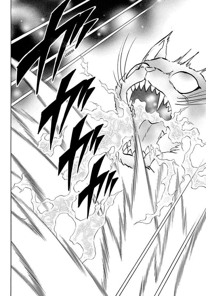 Read Mao chapter 219 image 13 on Lezhin