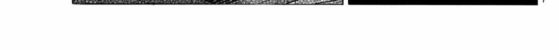 Read Mao chapter 271 image 13 on Lezhin