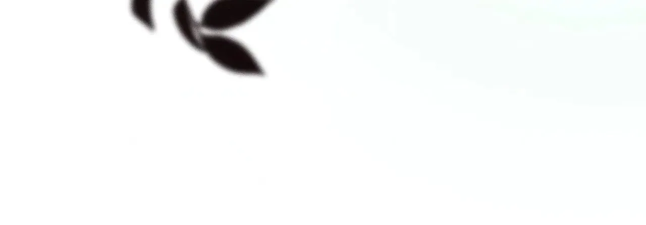Mark of Fate Chapter 44 page 80 - 