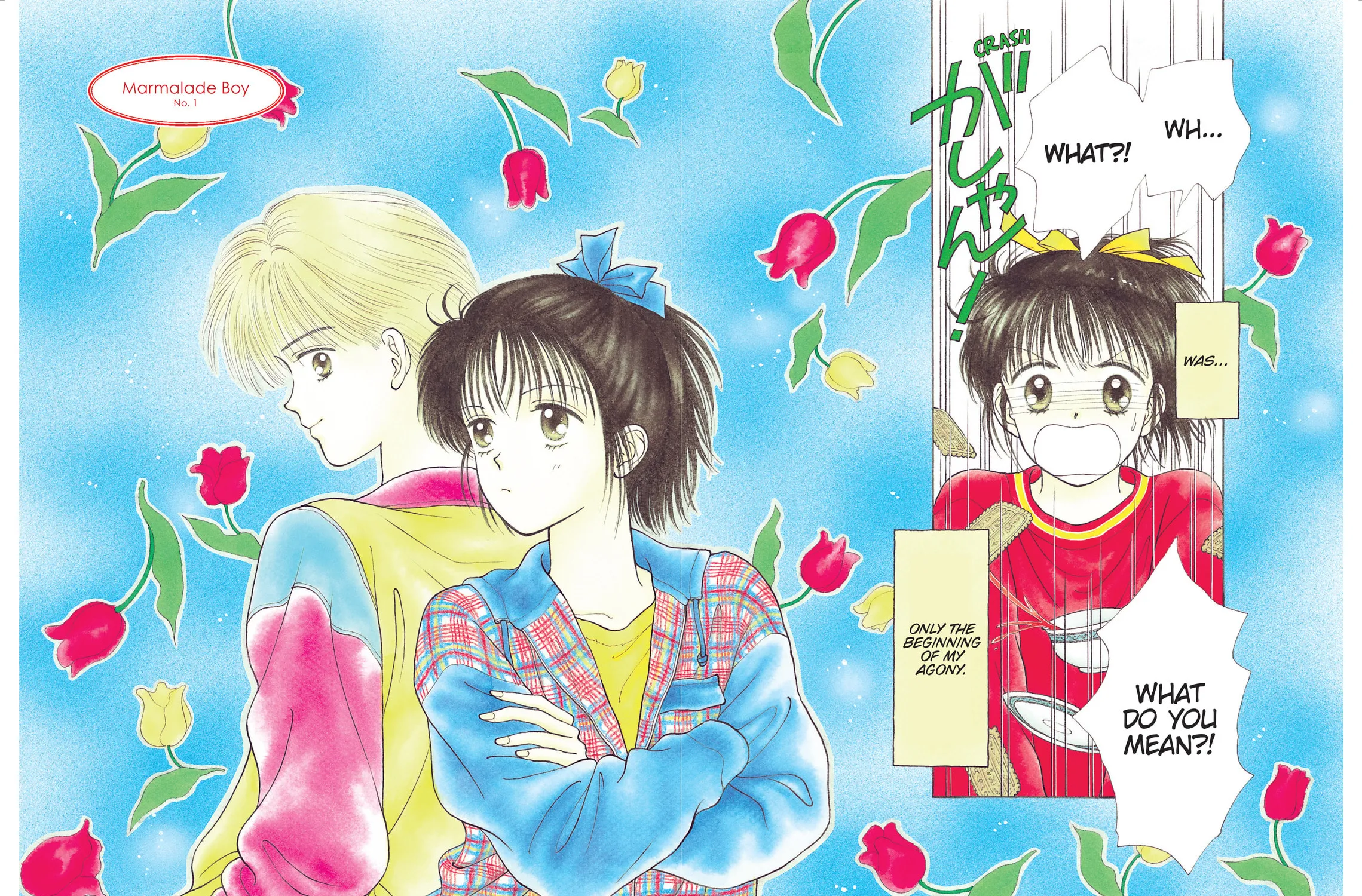 Read Marmalade Boy chapter 1 image 2 on Lezhin