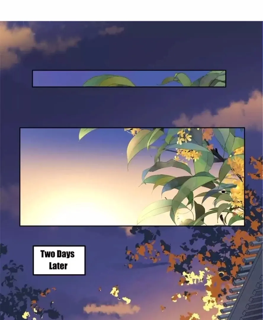 Marquis, Leave Me Alone! Chapter 79 page 2 - 