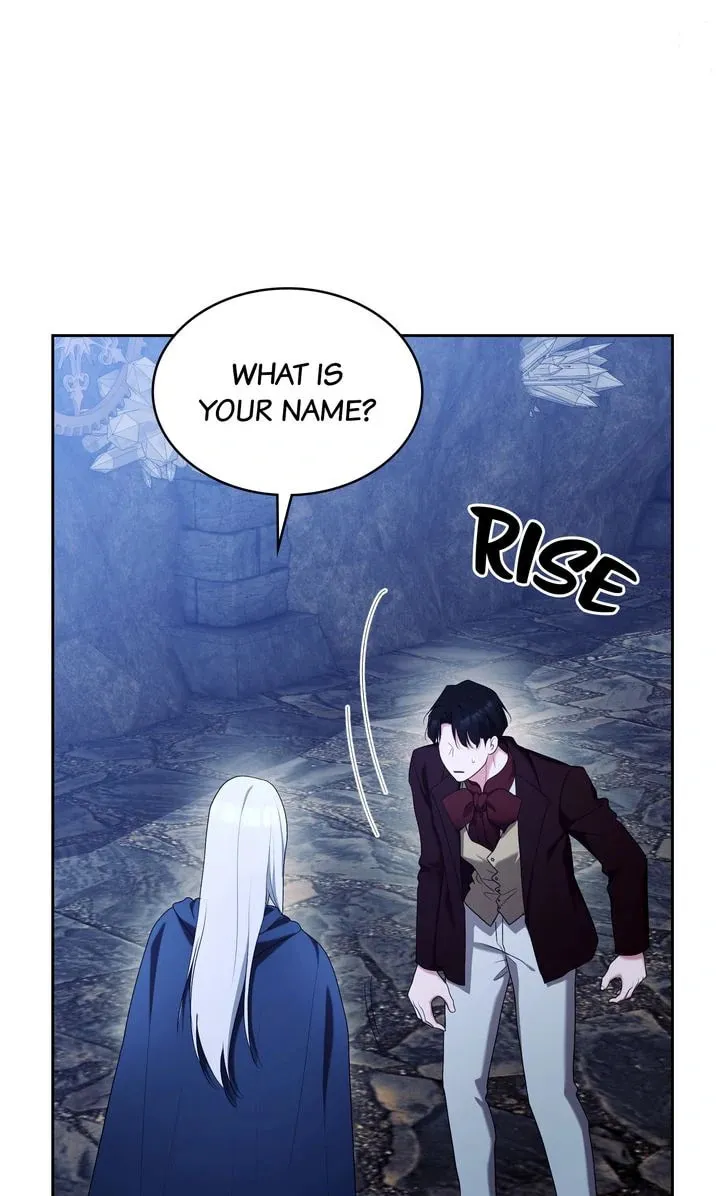 Marriage Contract With Two Husbands Chapter 63 page 112 - 