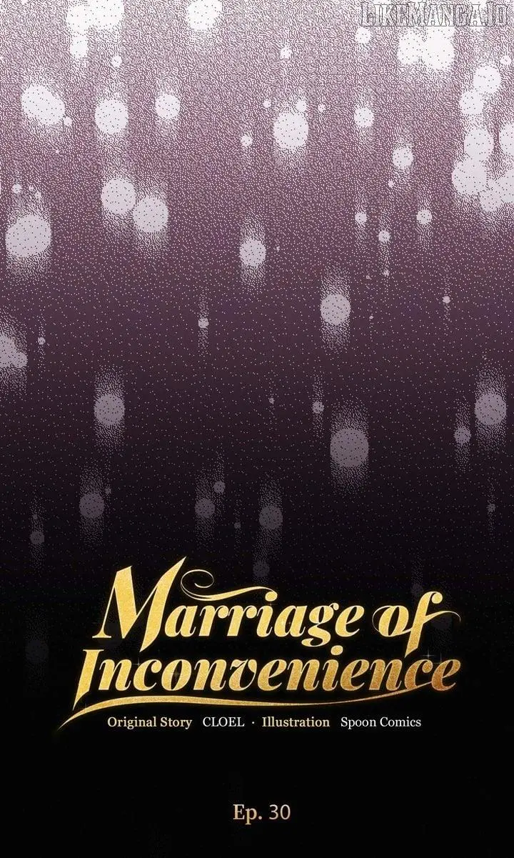 Read Marriage Partner chapter 30 image 14 on Lezhin