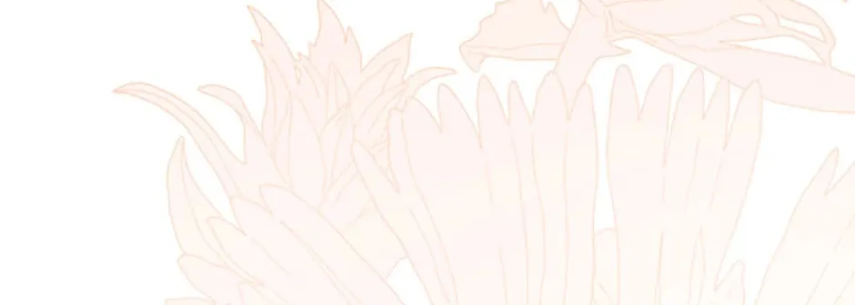 Marriage Situation Chapter 63 page 46 - 