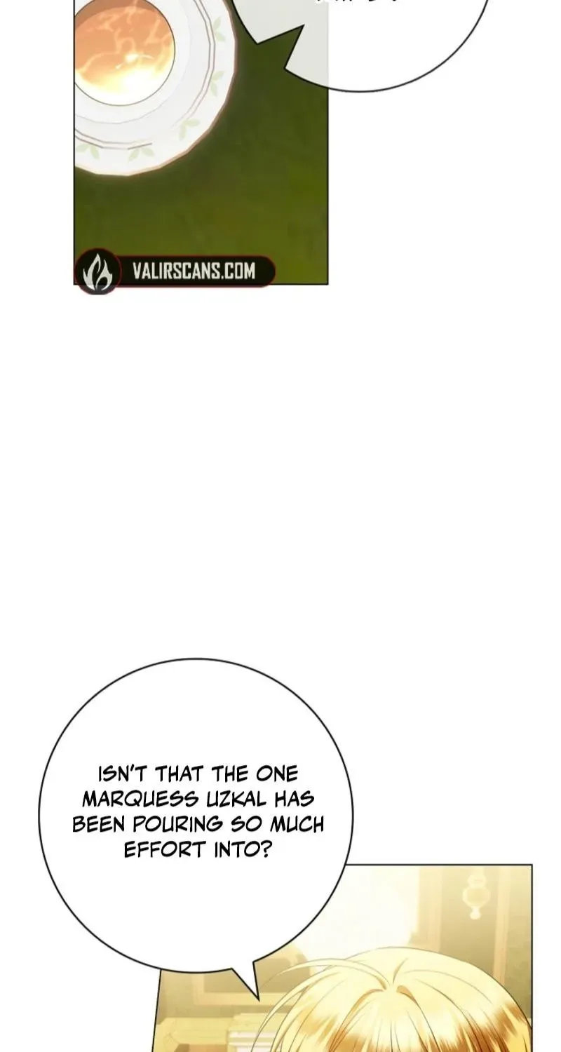 Married at Face Value Chapter 36 page 17 - 