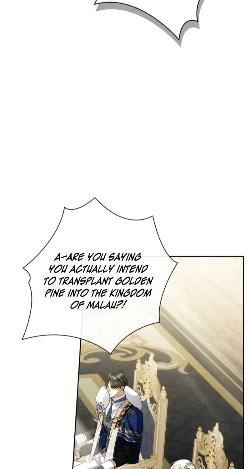 Married at Face Value Chapter 51 page 51 - 