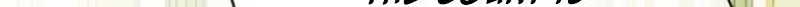 Married at Face Value Chapter 66 page 95 - 
