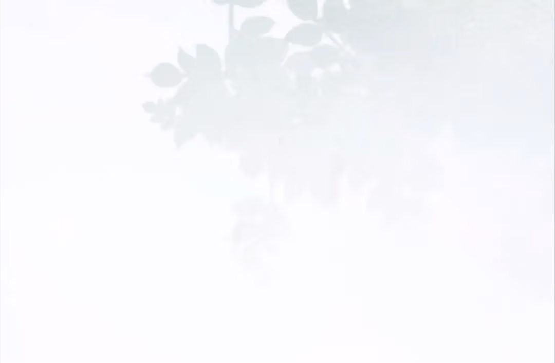 Read Married to a Vegetative Tycoon chapter 27 image 155 on Lezhin