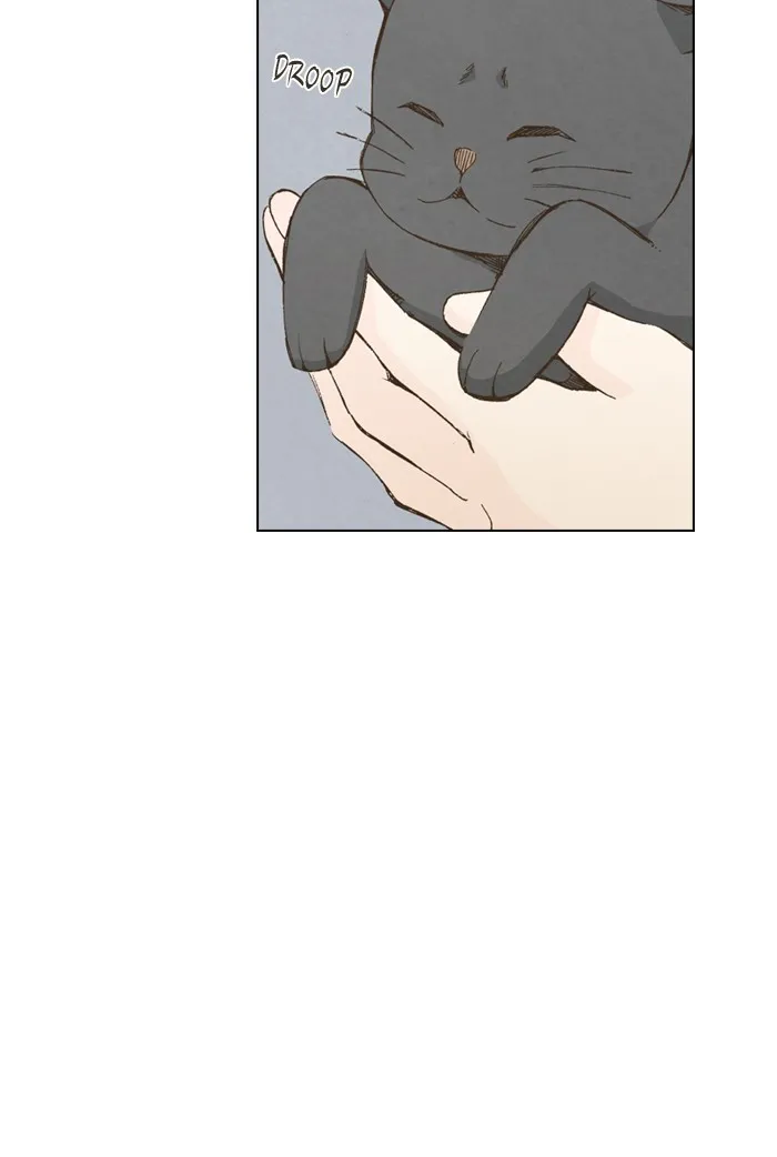 Read Marry Me! chapter 2 image 39 on Lezhin