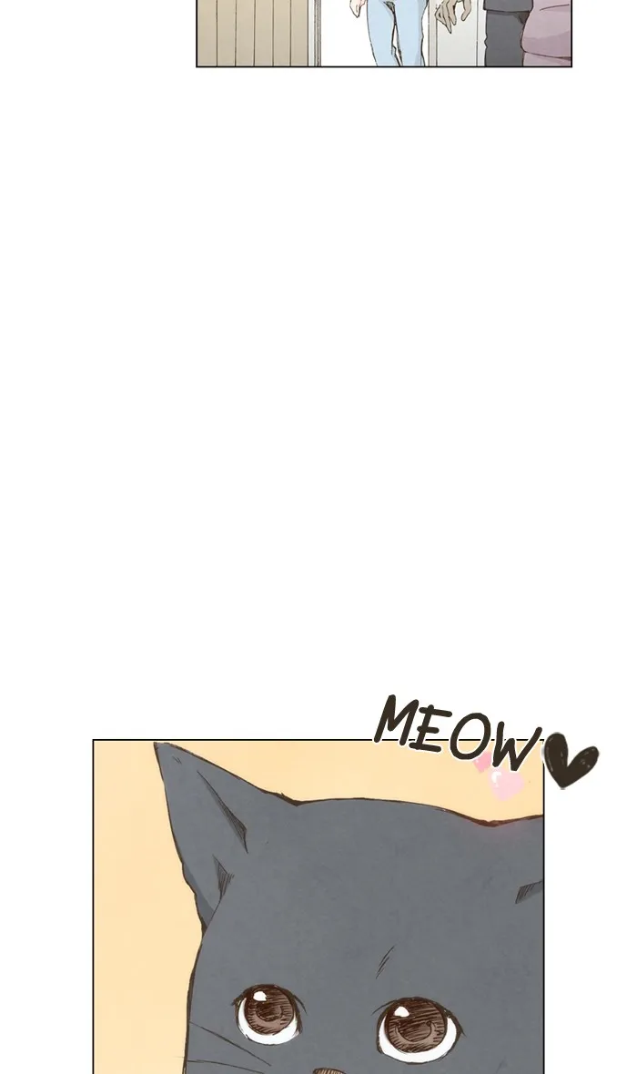 Read Marry Me! chapter 3 image 25 on Lezhin