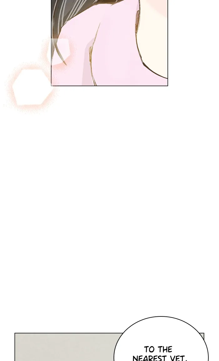 Read Marry Me! chapter 3 image 9 on Lezhin