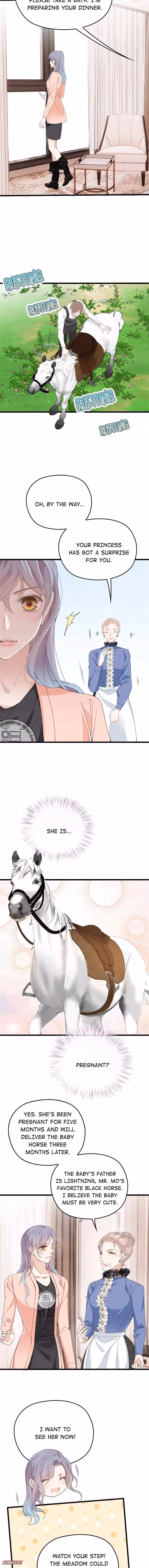 Read Marry One Get One Free chapter 188 image 4 on Lezhin