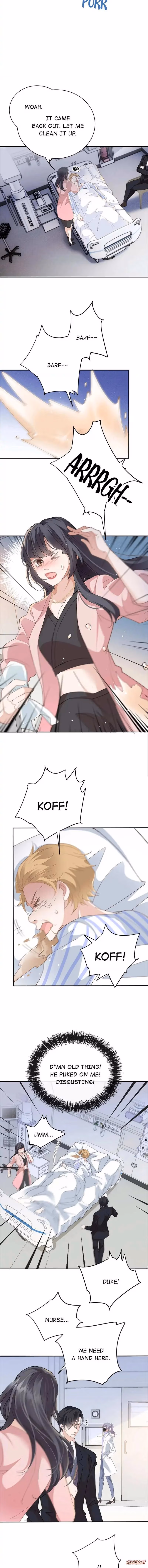 Read Marry One Get One Free chapter 198 image 3 on Lezhin