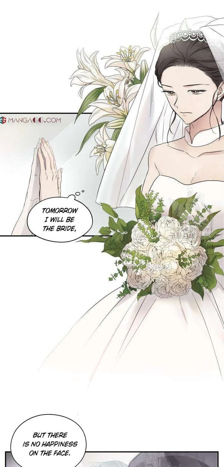 Read Marry or die chapter 3 image 17 on Lezhin