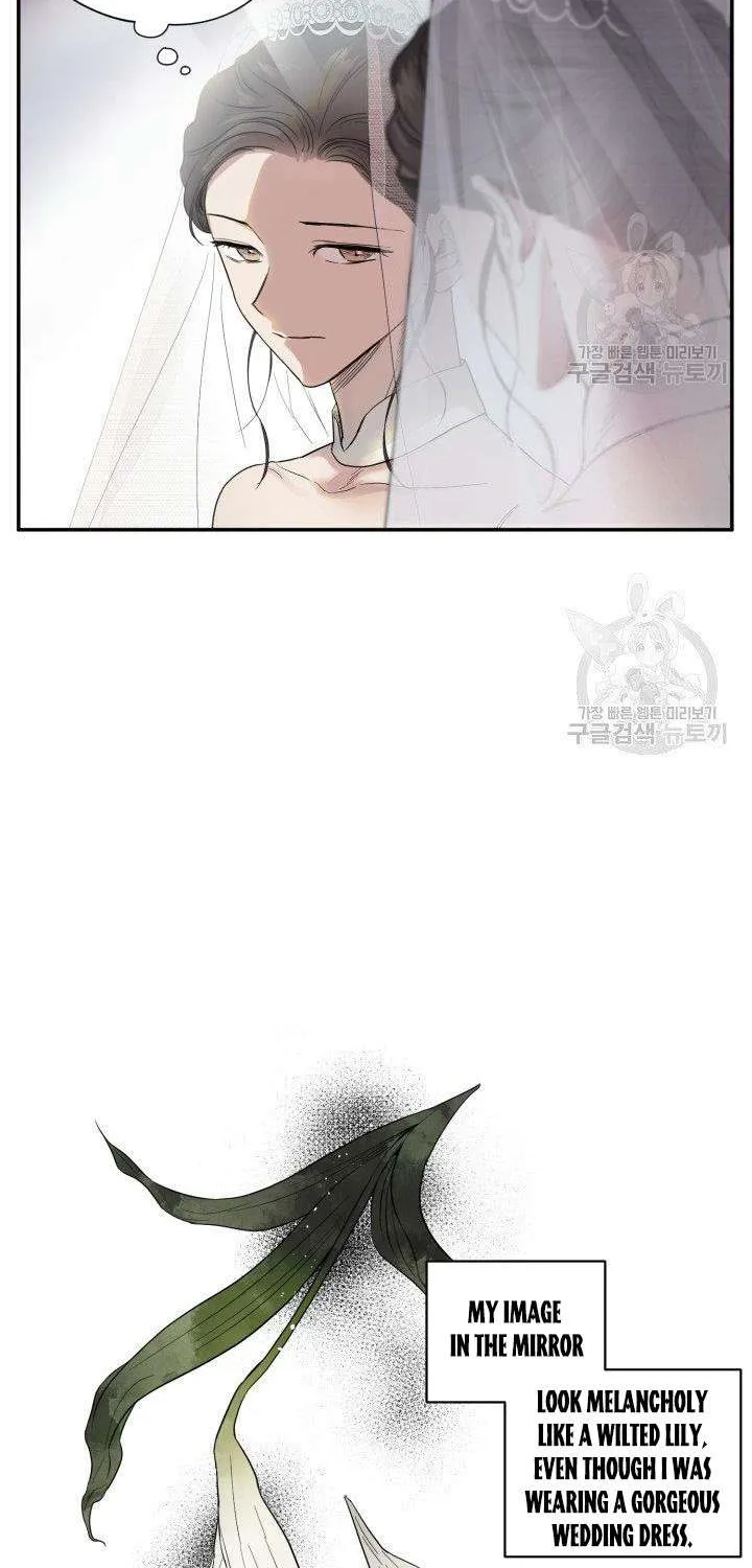 Read Marry or die chapter 3 image 18 on Lezhin