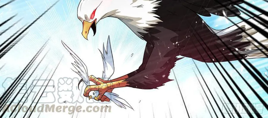 Read Martial Rebel chapter 42 image 47 on Lezhin