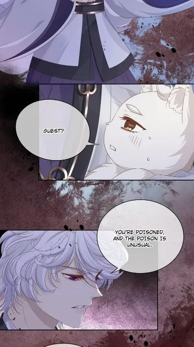 Read Master and Her Seven Lovers chapter 91 image 22 on Lezhin