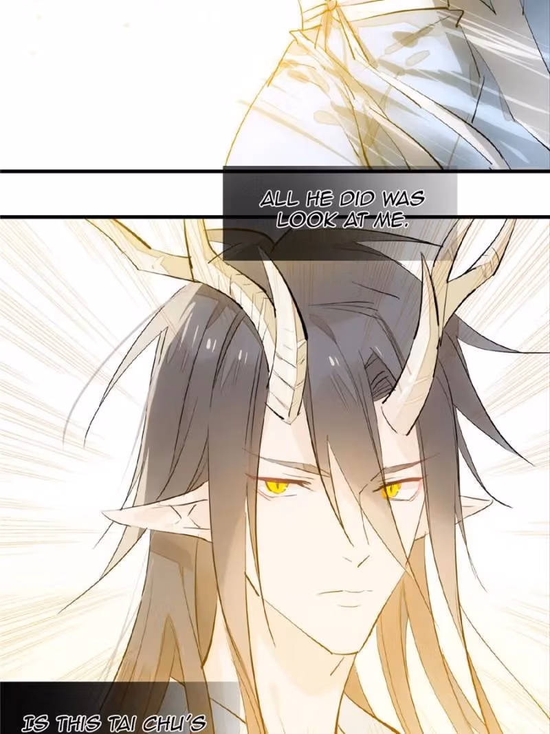 Read Master
