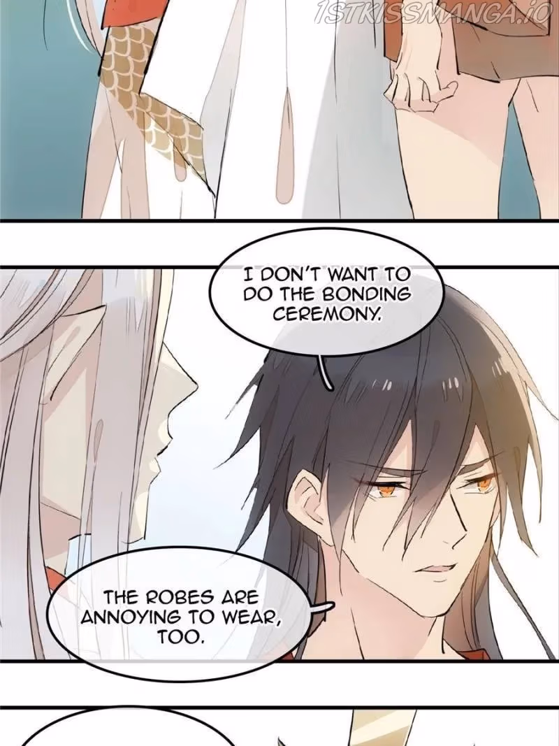 Read Master