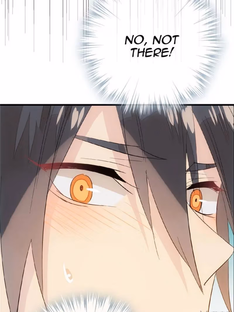 Read Master