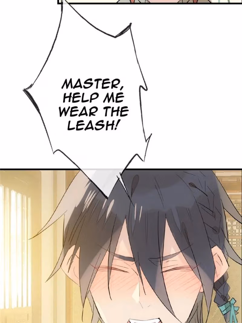 Read Master