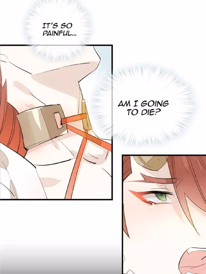 Read Master