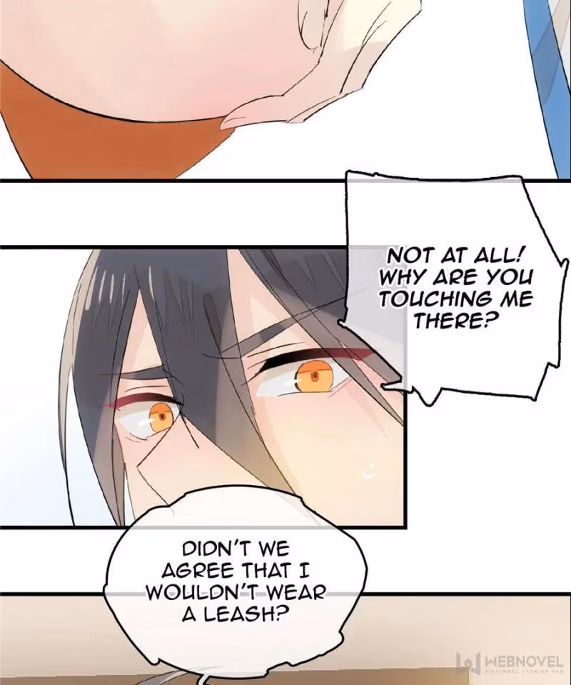 Read Master