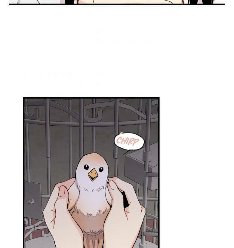 Read Masters of Lightning Knives chapter 21 image 45 on Lezhin