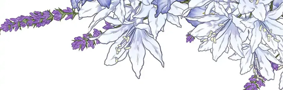 Read Materialistic Lady chapter 88 image 113 on Lezhin