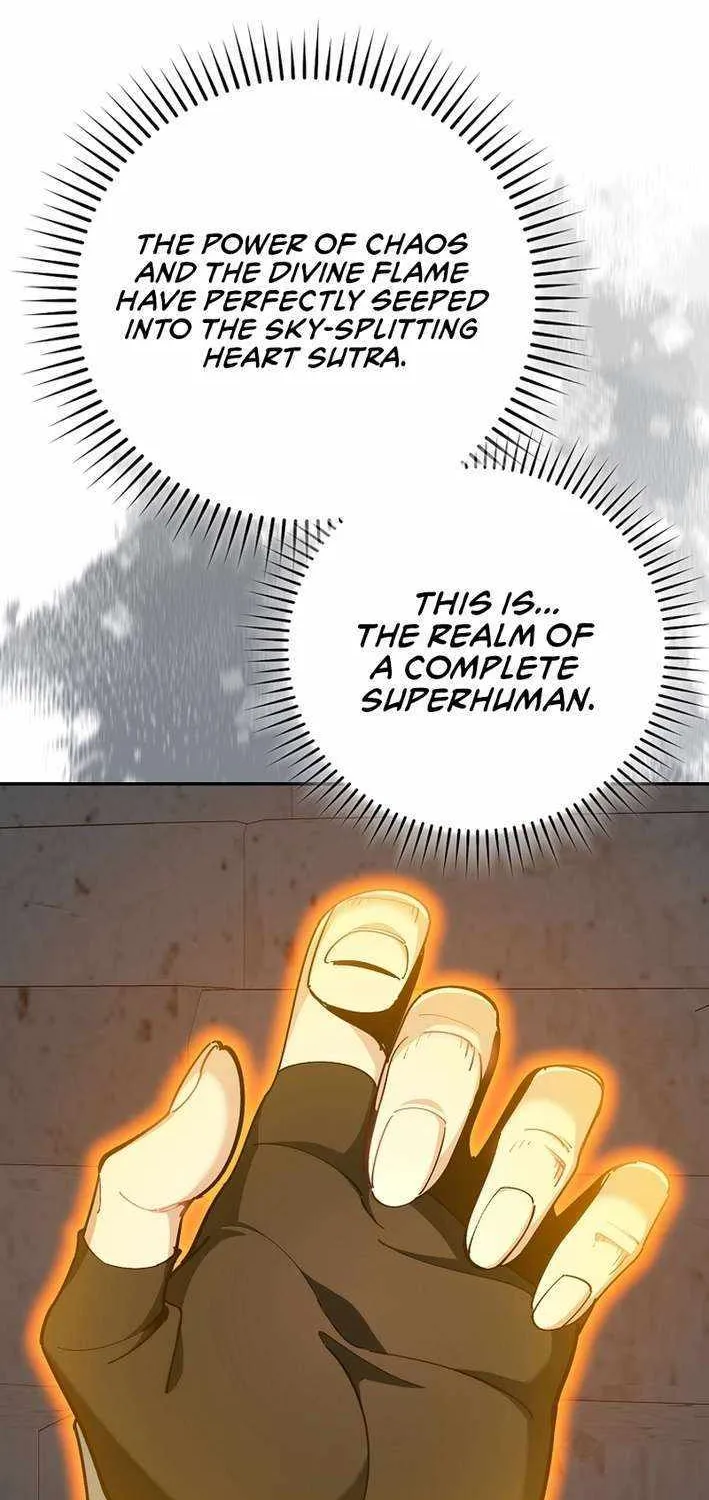 Max Level Player Chapter 102 page 66 - 