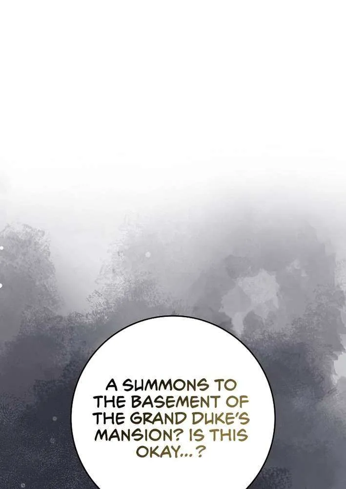 Max Level Player Chapter 105 page 28 - 