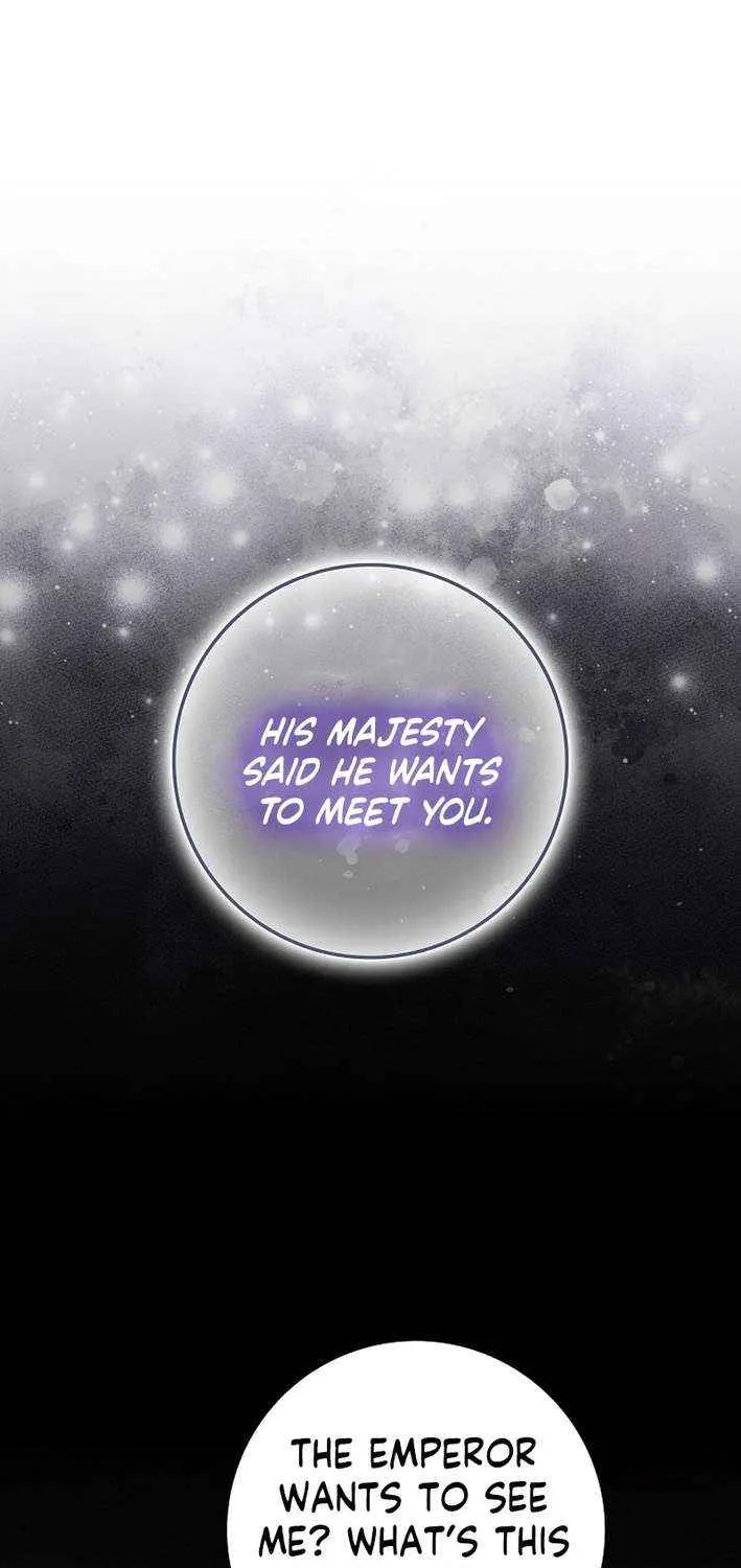 Max Level Player Chapter 108 page 4 - 