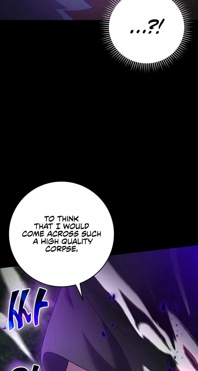 Max Level Player Chapter 11 page 33 - 