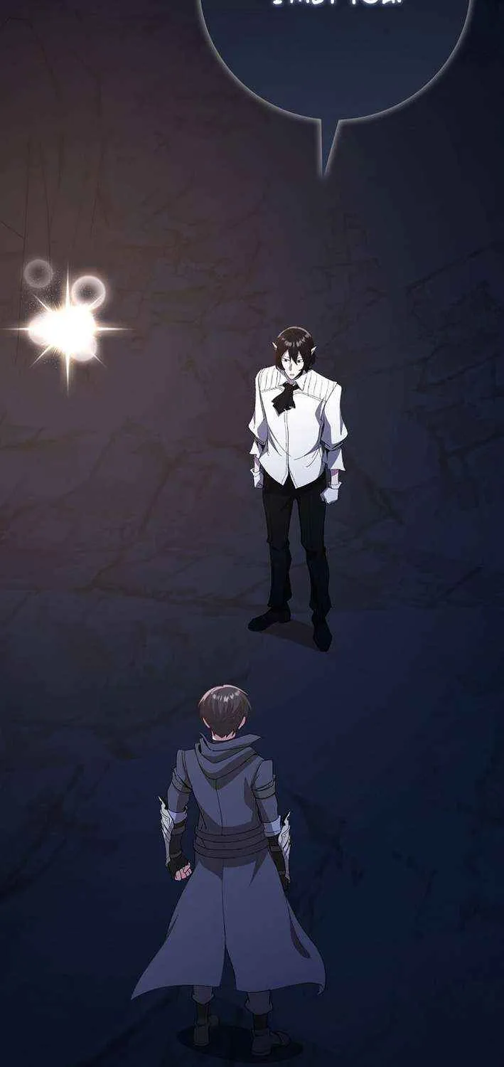 Max Level Player Chapter 113 page 27 - 