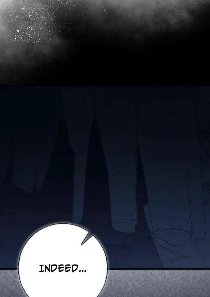 Max Level Player Chapter 116 page 28 - 