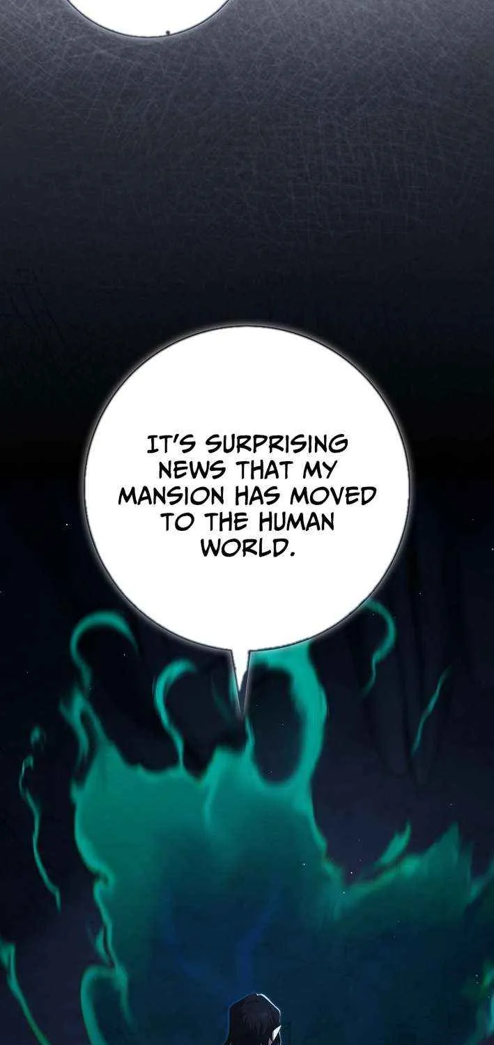 Max Level Player Chapter 116 page 29 - 