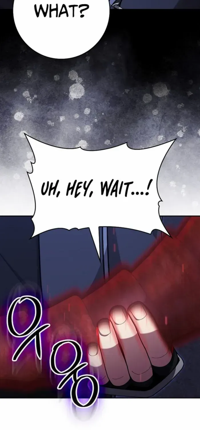 Max Level Player Chapter 117 page 26 - 