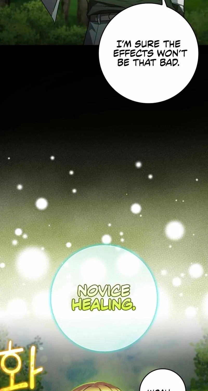 Max Level Player Chapter 12 page 26 - 