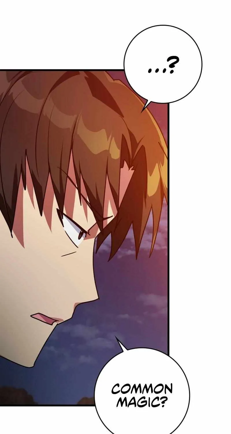 Max Level Player Chapter 12 page 91 - 
