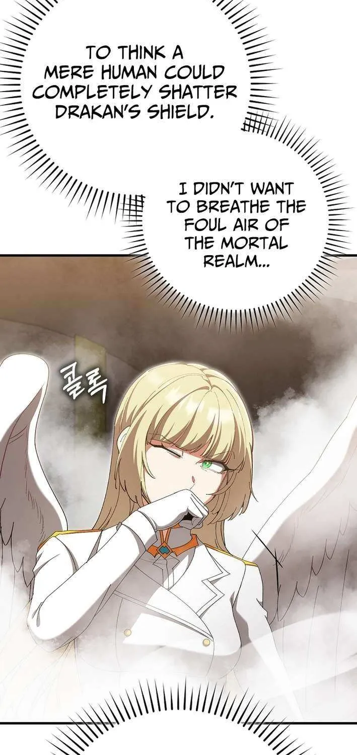 Max Level Player Chapter 121 page 24 - 
