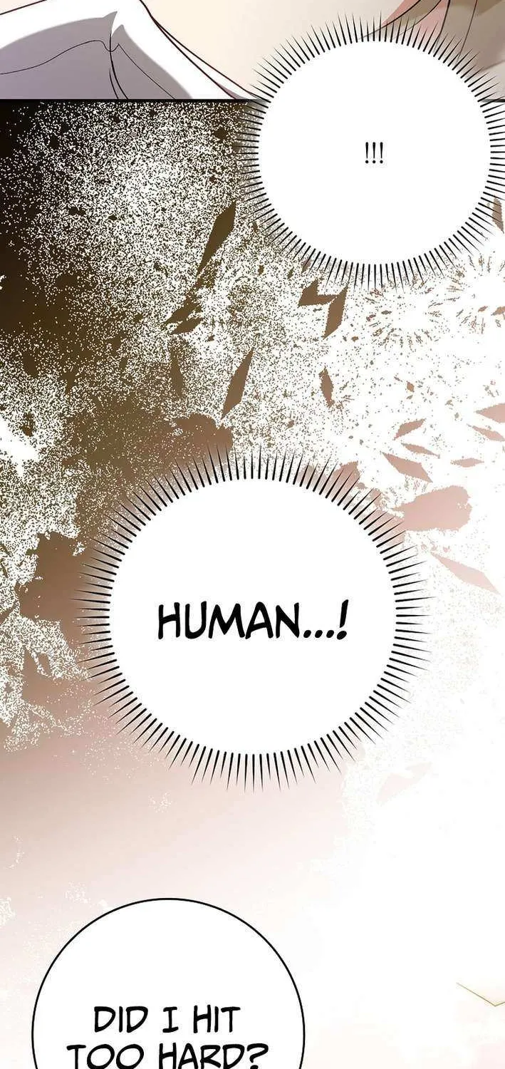 Max Level Player Chapter 121 page 26 - 