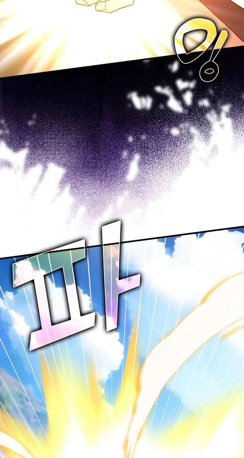 Max Level Player Chapter 25 page 61 - 