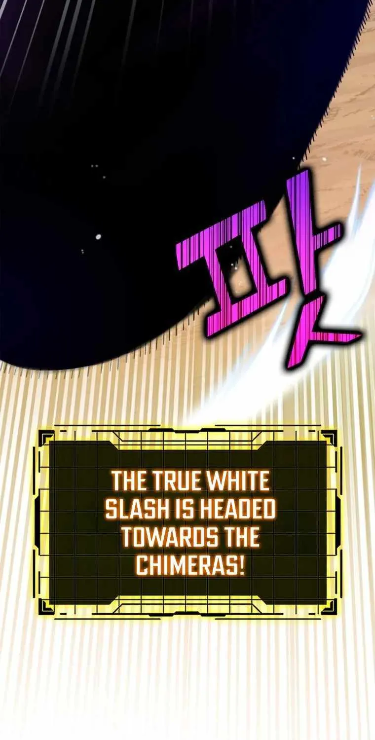 Max Level Player Chapter 27 page 37 - 