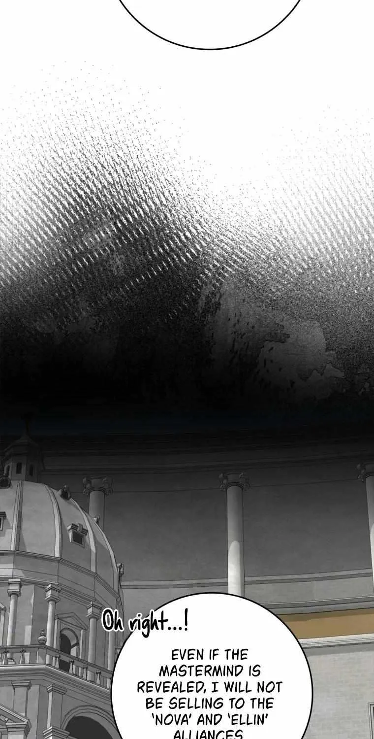 Max Level Player Chapter 31 page 36 - 