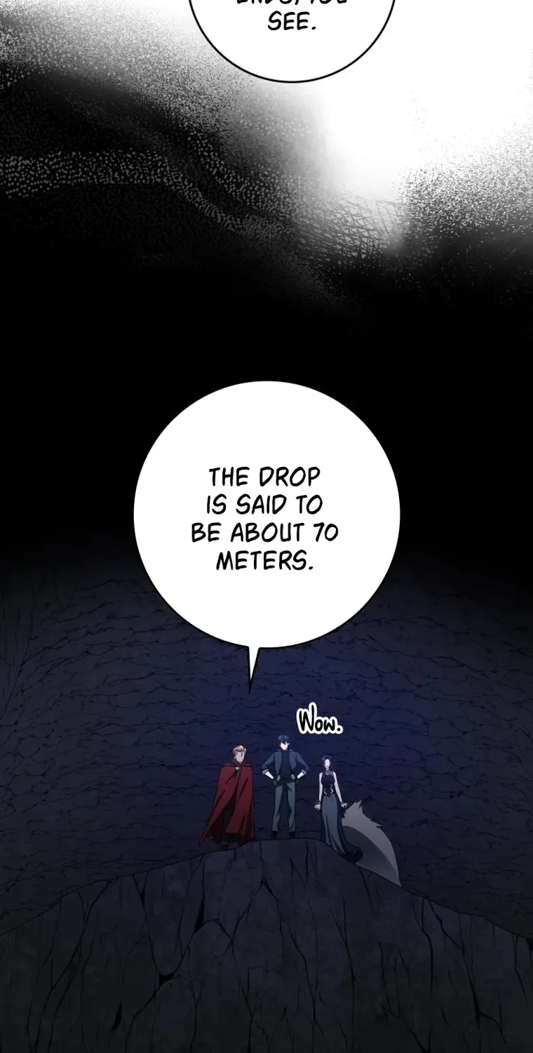 Max Level Player Chapter 38 page 3 - 